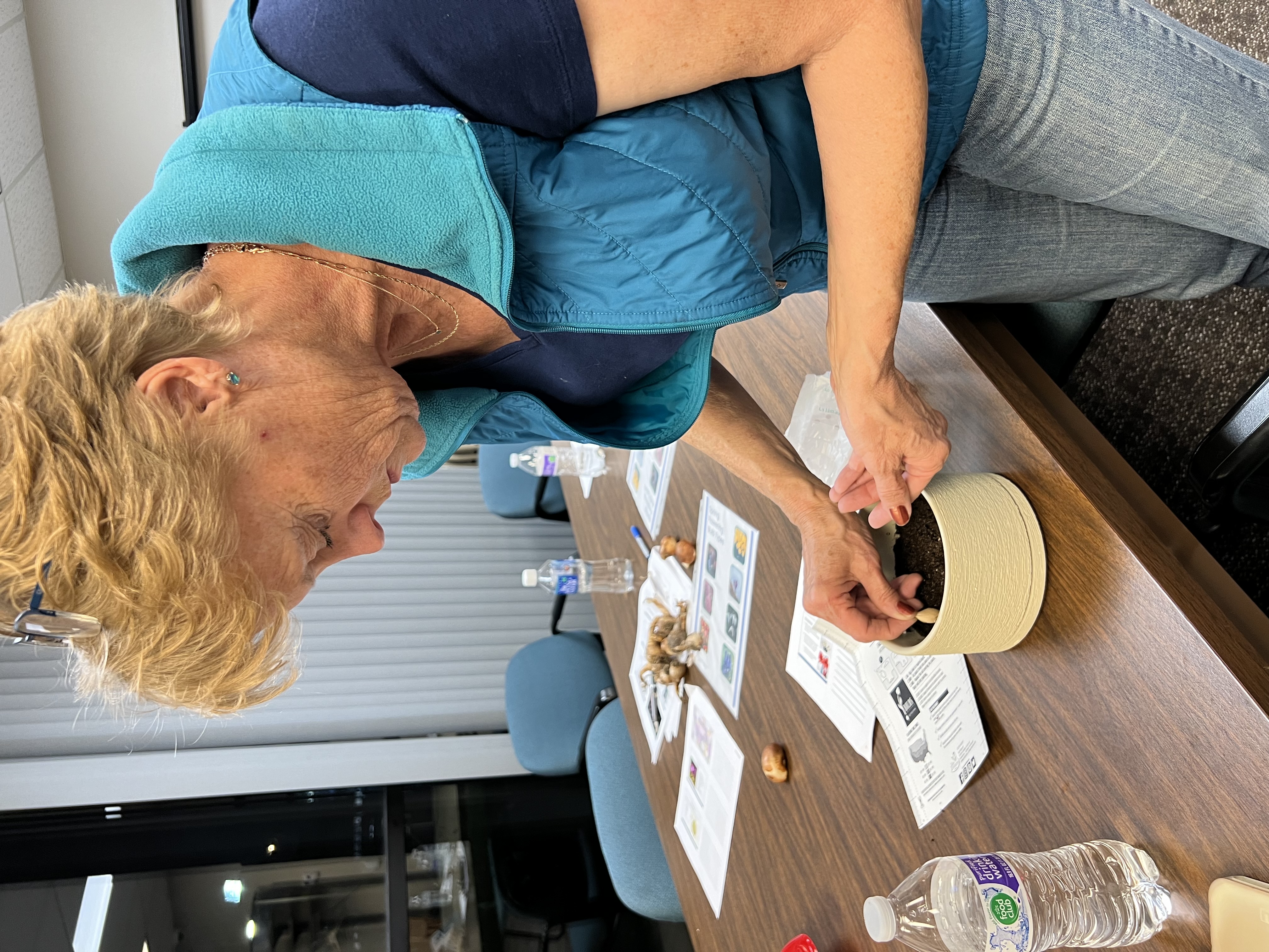 Robyn Cassel plants crocus bulbs in a pot as part of the forcing bulbs workshop.